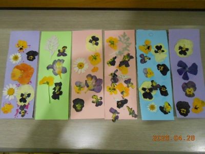 押し花２
