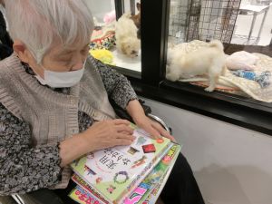 写真③