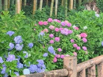 image0